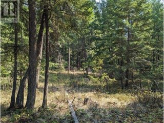 8569 Black Mountain Road. Chase, British Columbia