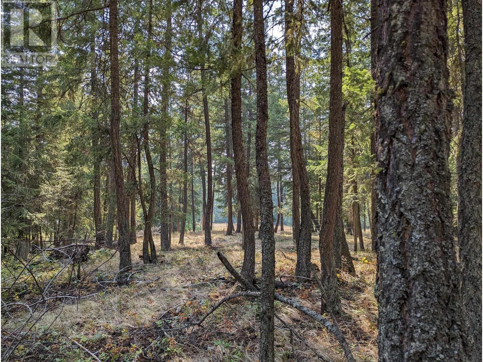 8569 Black Mountain Road. Chase, British Columbia