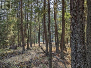 8569 Black Mountain Road. Chase, British Columbia