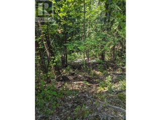 8569 Black Mountain Road. Chase, British Columbia