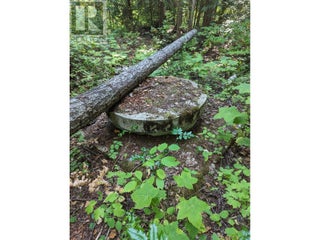 8569 Black Mountain Road. Chase, British Columbia