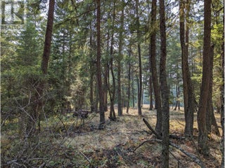 8569 Black Mountain Road. Chase, British Columbia