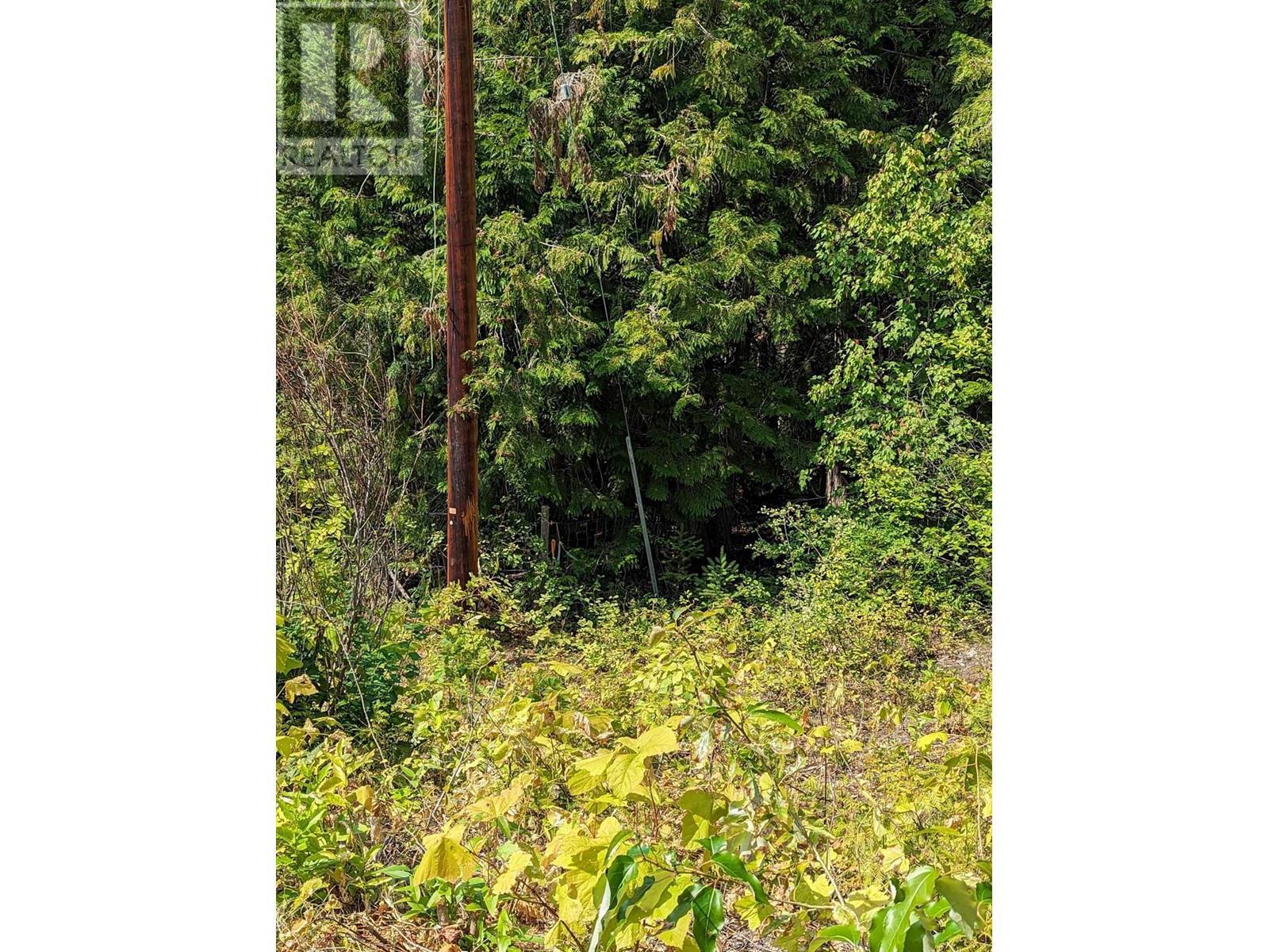 8569 Black Mountain Road. Chase, British Columbia