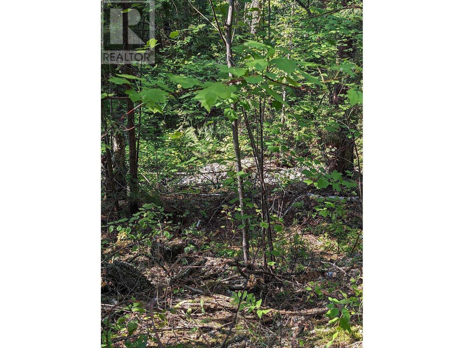 8569 Black Mountain Road. Chase, British Columbia