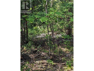 8569 Black Mountain Road. Chase, British Columbia