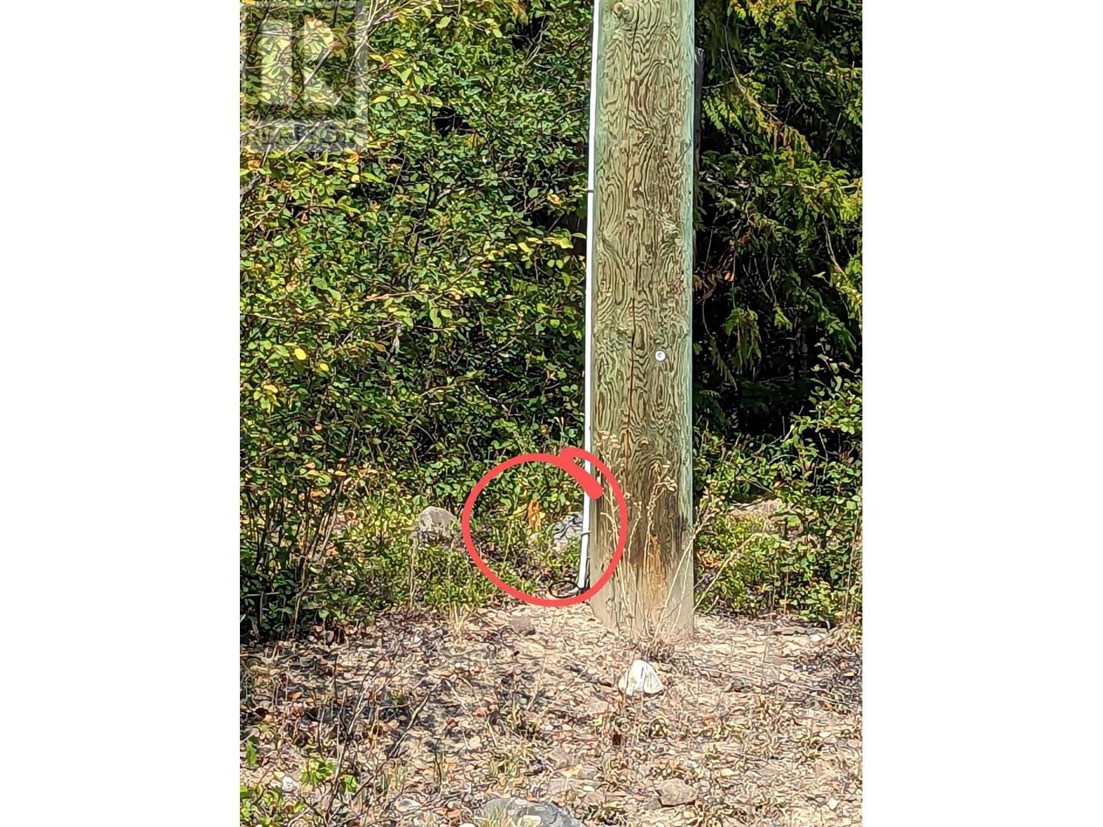 8569 Black Mountain Road. Chase, British Columbia