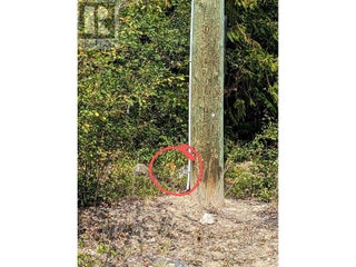 8569 Black Mountain Road. Chase, British Columbia