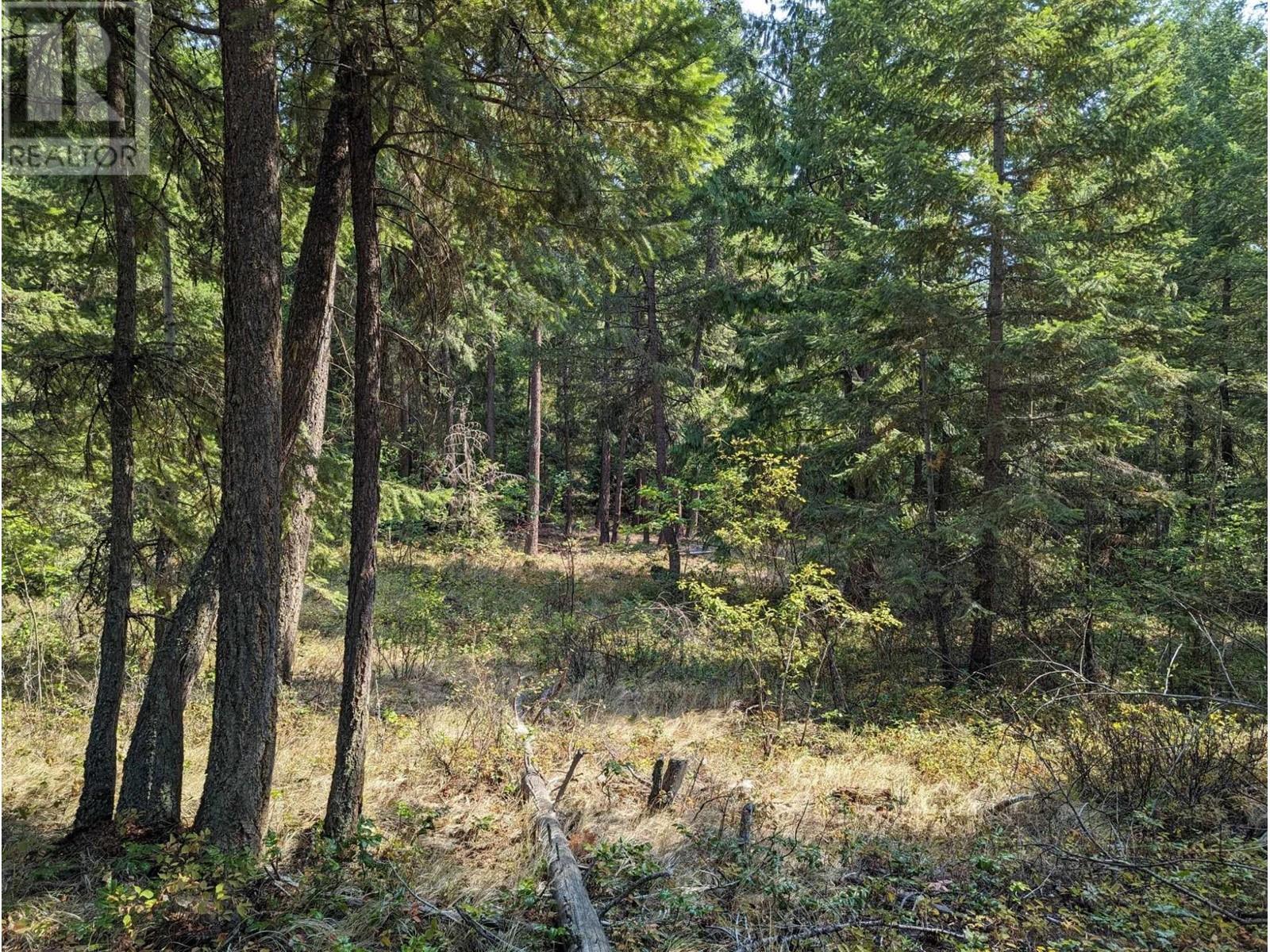 8569 Black Mountain Road. Chase, British Columbia