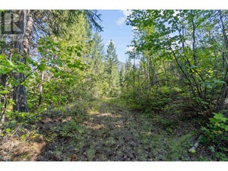 8569 Black Mountain Road. Chase, British Columbia