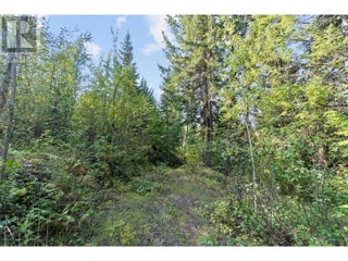 8569 Black Mountain Road. Chase, British Columbia