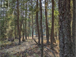 8569 Black Mountain Road. Chase, British Columbia