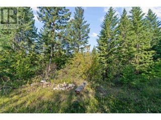 8569 Black Mountain Road. Chase, British Columbia