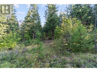 8569 Black Mountain Road. Chase, British Columbia