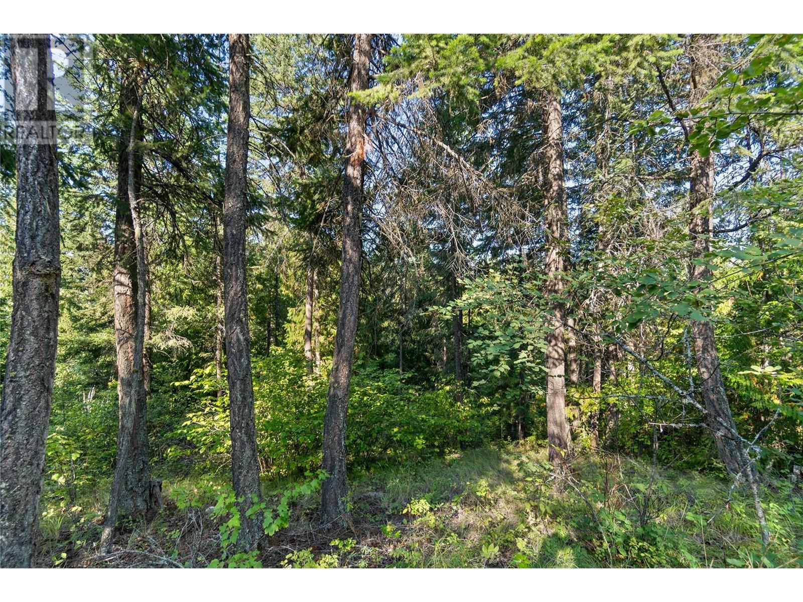 8569 Black Mountain Road. Chase, British Columbia