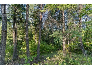 8569 Black Mountain Road. Chase, British Columbia