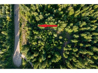 8569 Black Mountain Road. Chase, British Columbia