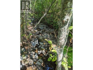 8569 Black Mountain Road. Chase, British Columbia