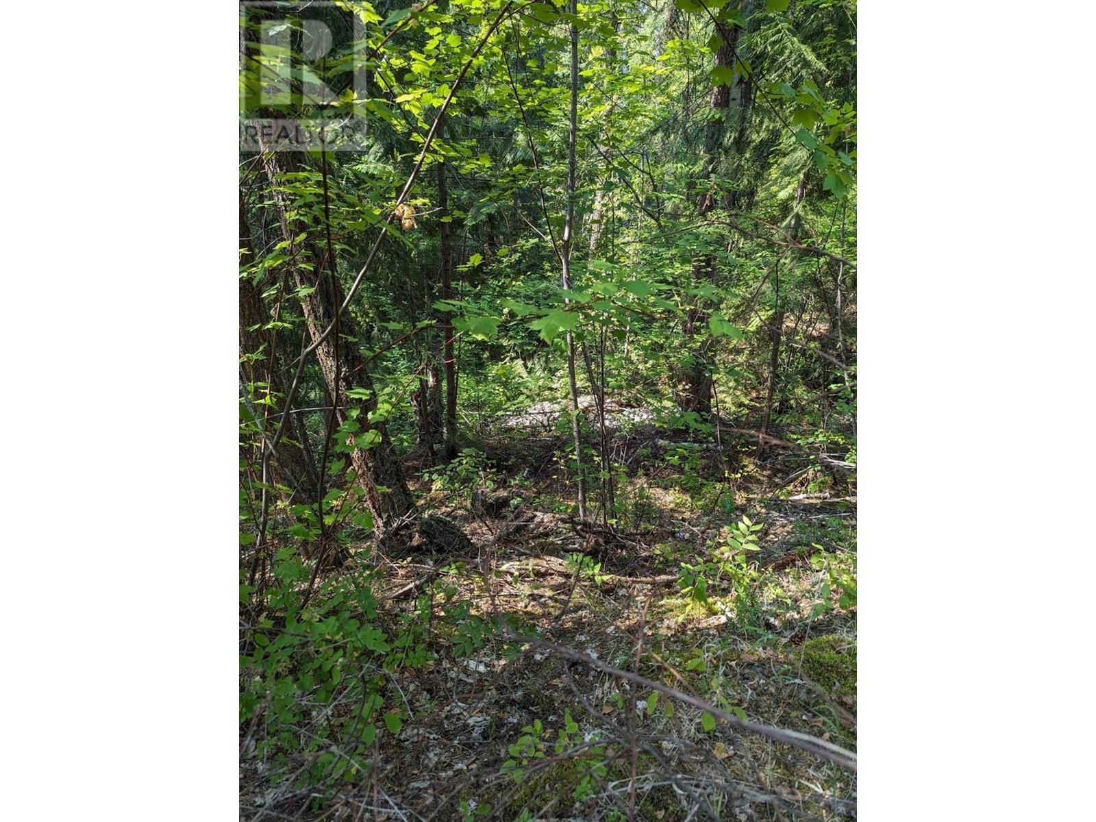 8569 Black Mountain Road. Chase, British Columbia