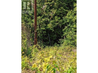 8569 Black Mountain Road. Chase, British Columbia