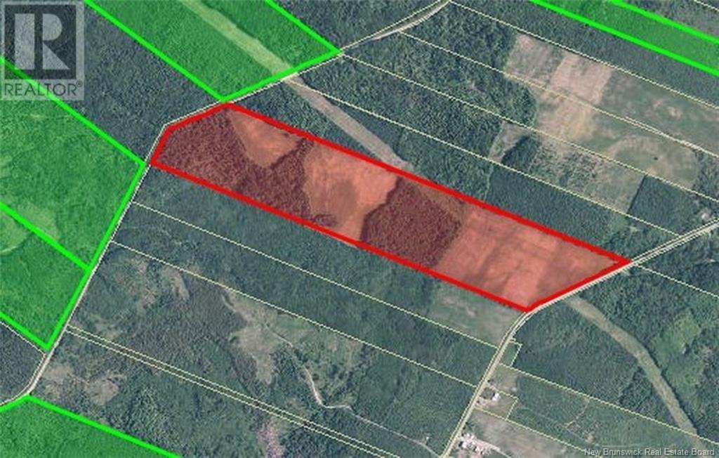 Photo of Listing #NB106145