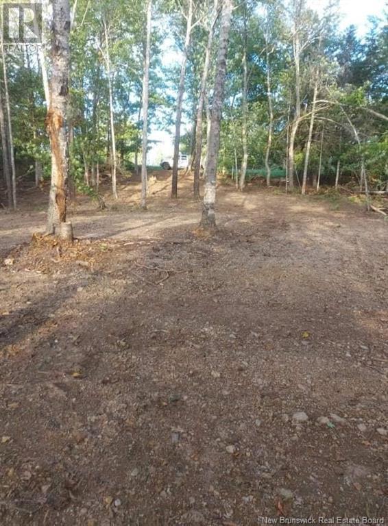 Photo of Listing #NB106788