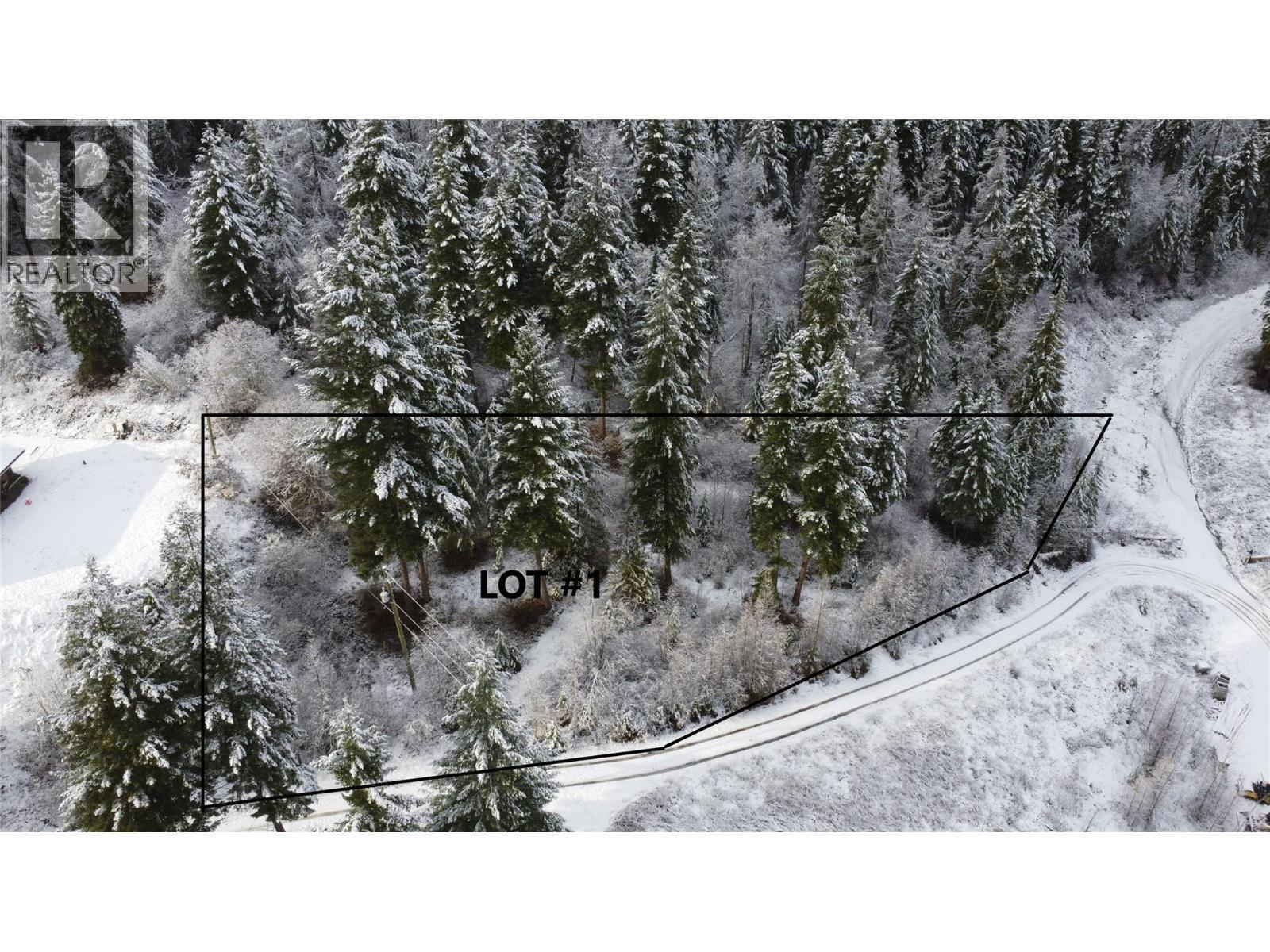 2680 Cedar Ridge Street Unit# Proposed Phase 2 Lot# 1 & 2. Lumby, British Columbia
