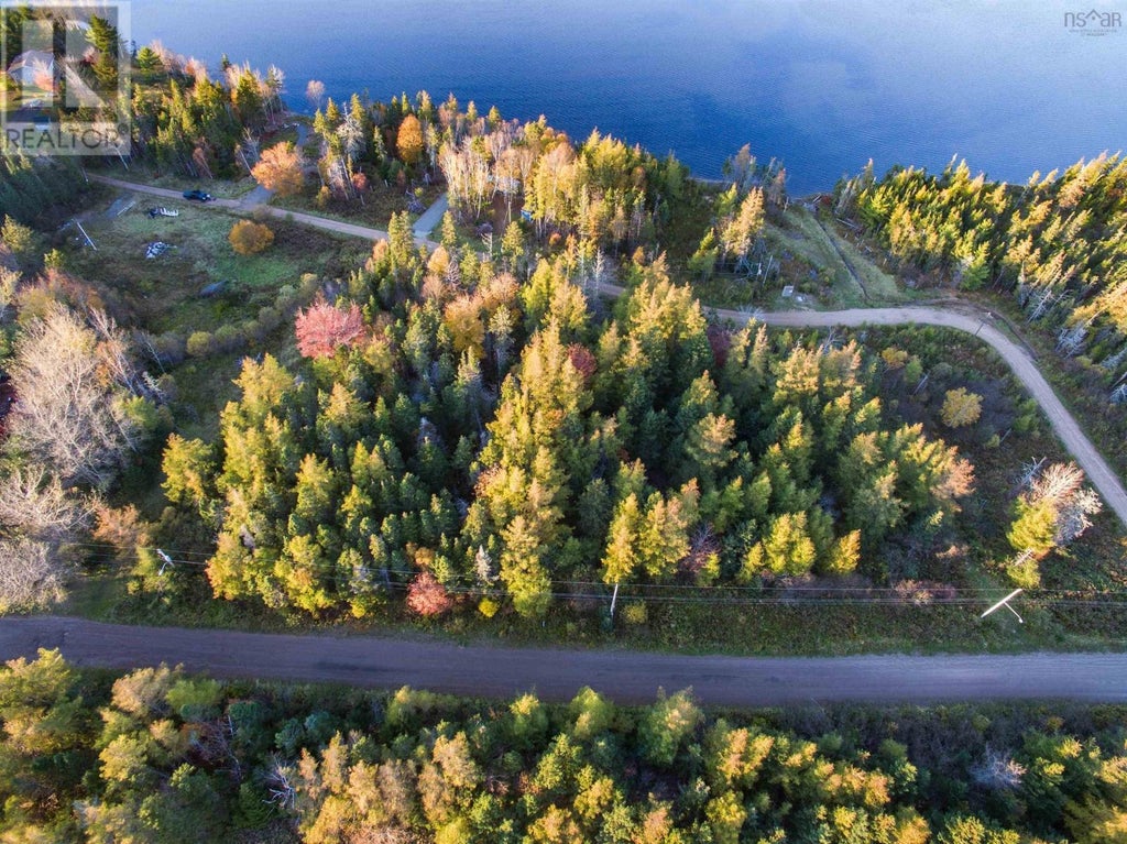 Spruce Tree Drive, Evanston