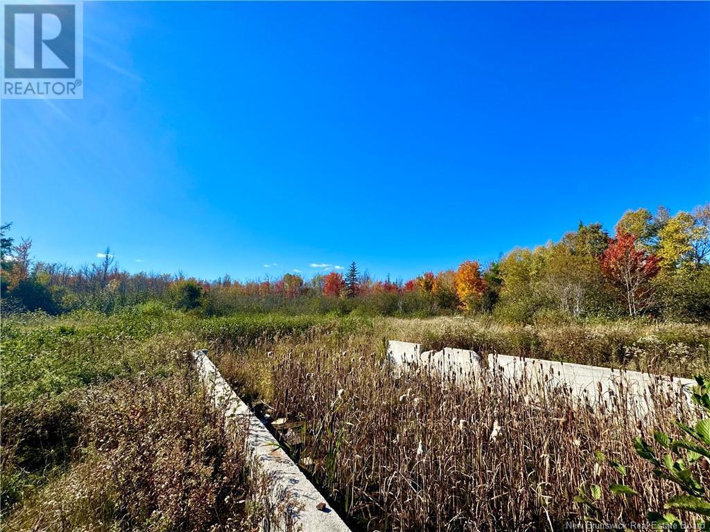 8249 Rte 117, Black River Bridge Property Listing MLS® NB107876