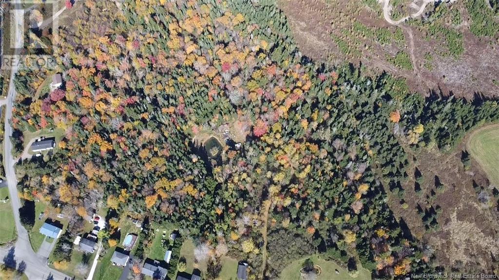 Photo of Listing #NB107960