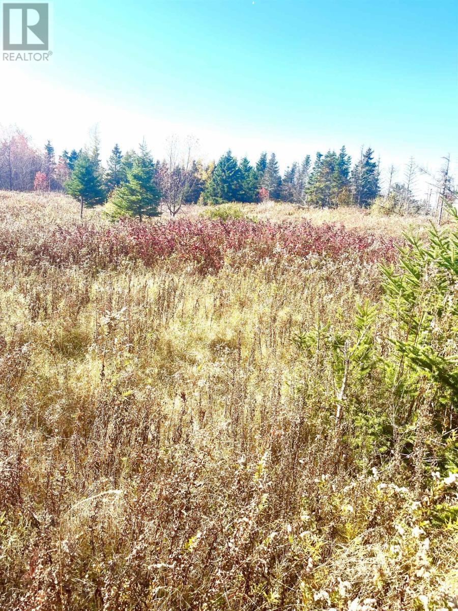 Lot 2 Selkirk Park Road, Belfast