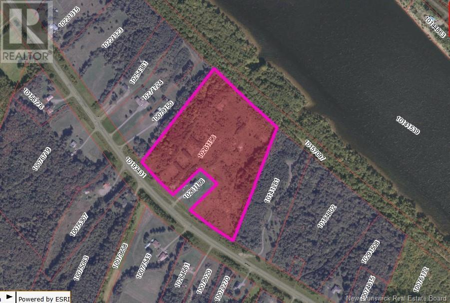 Photo of Listing #NB107796