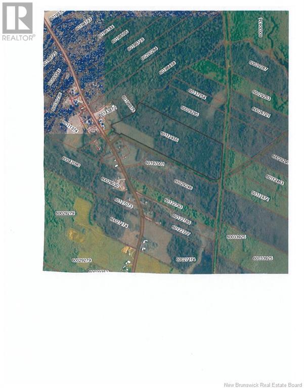 Photo of Listing #NB108669