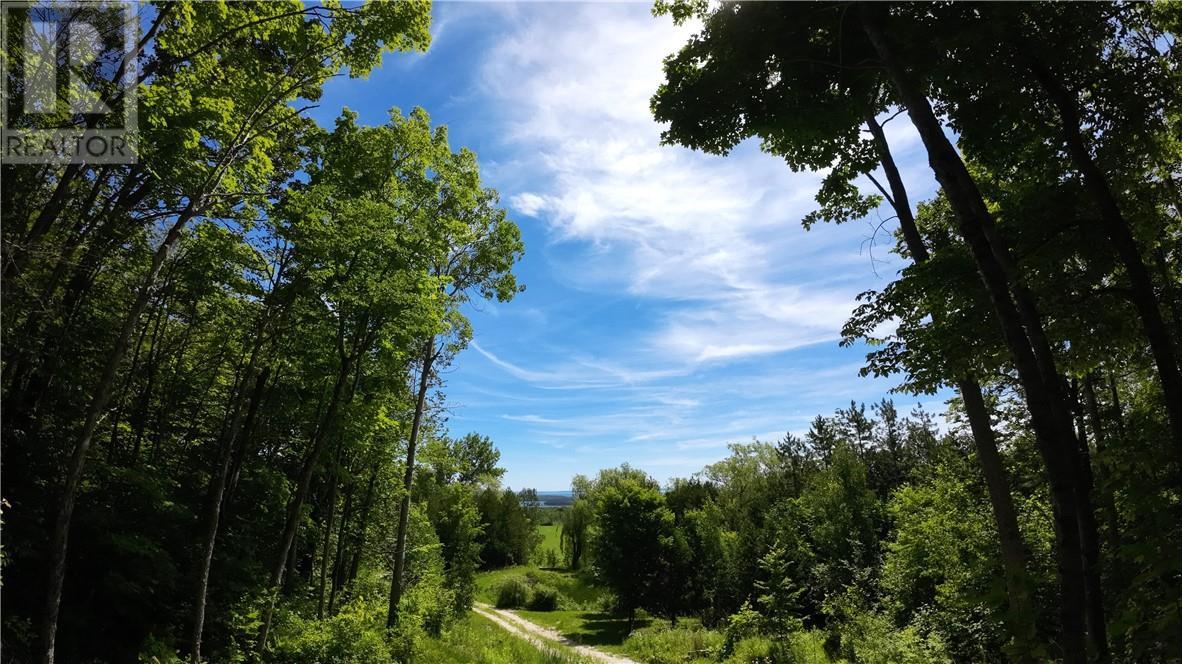 89 Orr's Sideroad Road, Sheguiandah Property Listing MLS® 2119754