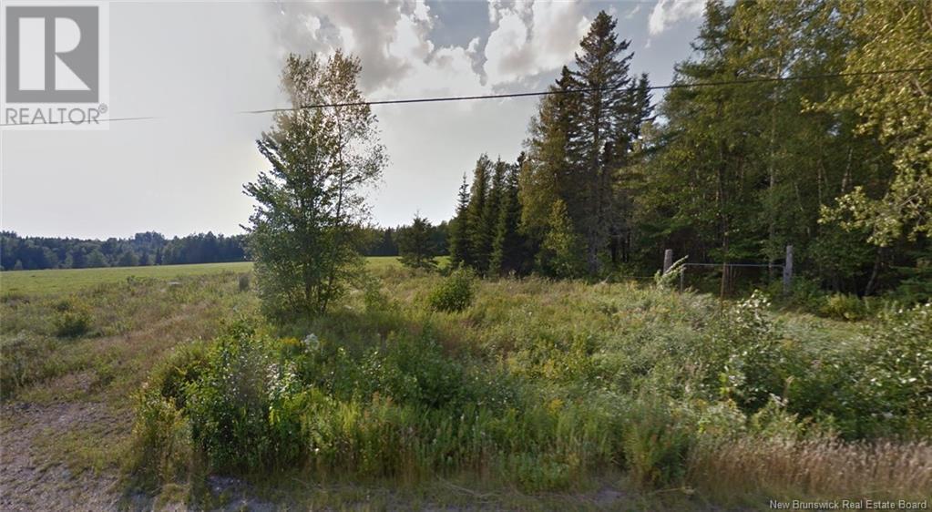 Photo of Listing #NB109253