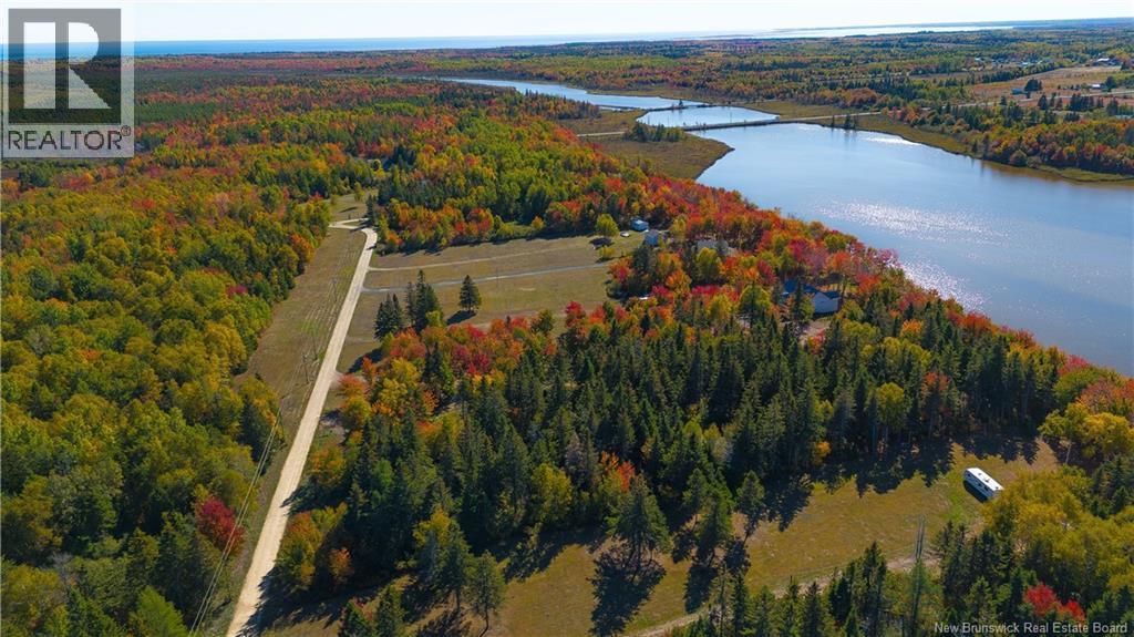 Photo of Listing #NB109398