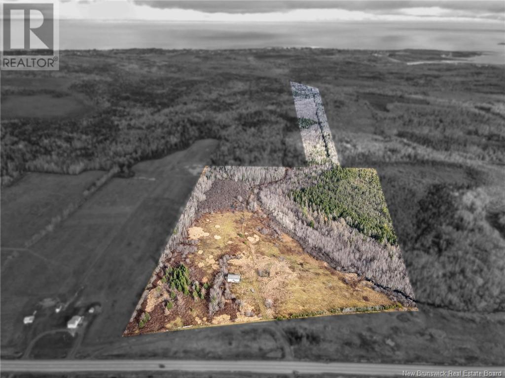 Photo of Listing #NB109847