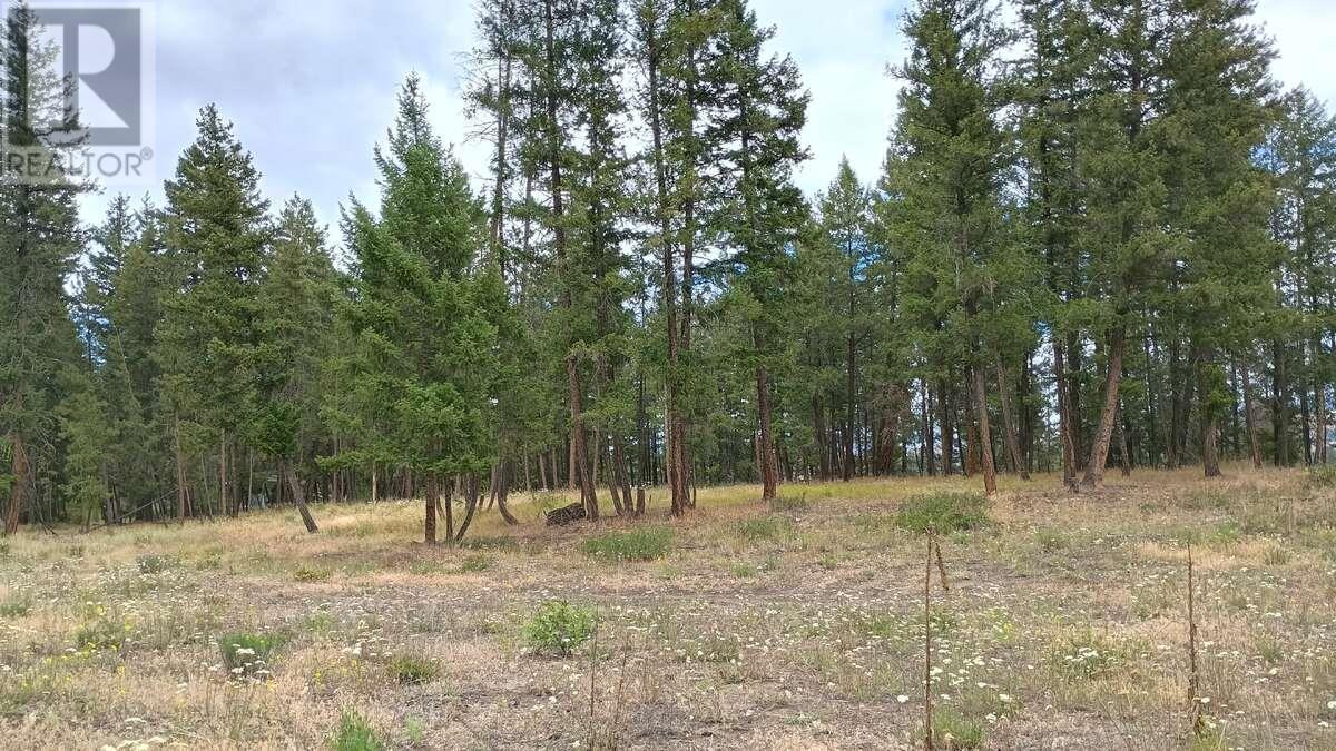 640 Highway 3 Unit# 1. Princeton, British Columbia