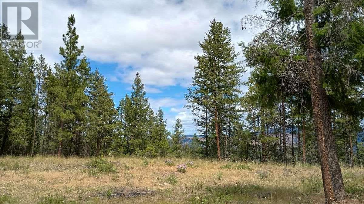 640 Highway 3 Unit# 1. Princeton, British Columbia