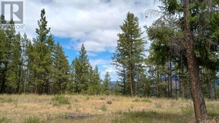 640 Highway 3 Unit# 1. Princeton, British Columbia