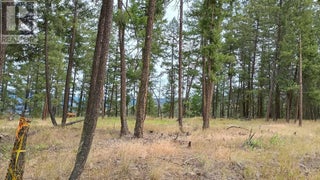 640 Highway 3 Unit# 1. Princeton, British Columbia