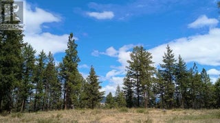 640 Highway 3 Unit# 1. Princeton, British Columbia