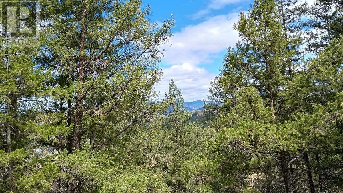 640 Highway 3 Unit# 1. Princeton, British Columbia