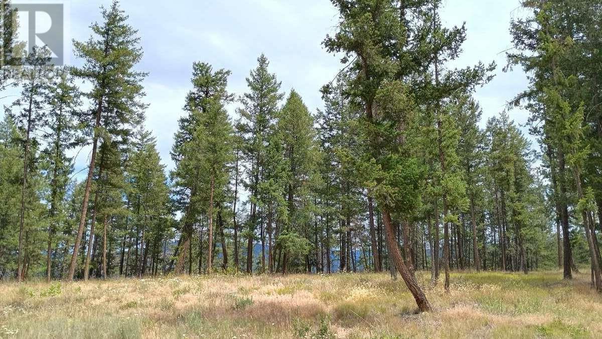 640 Highway 3 Unit# 1. Princeton, British Columbia