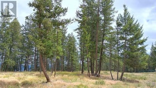 640 Highway 3 Unit# 1. Princeton, British Columbia