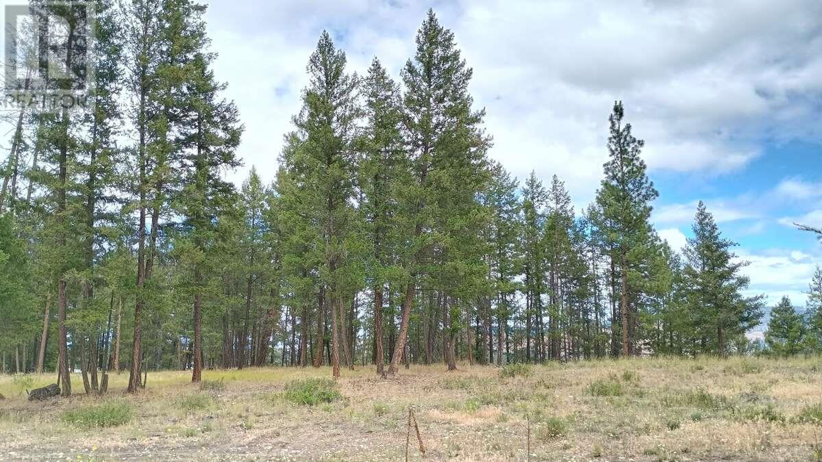 640 Highway 3 Unit# 1. Princeton, British Columbia