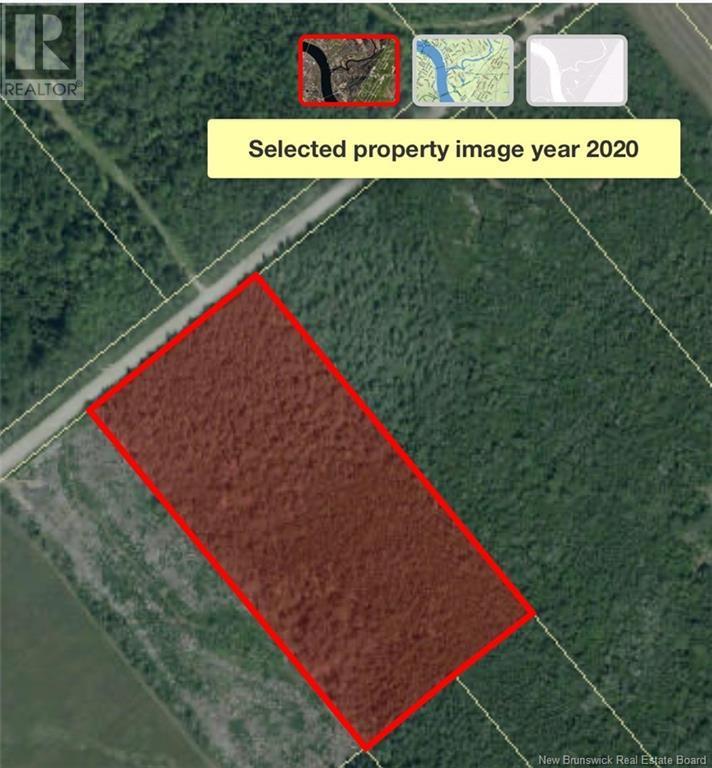 Photo of Listing #NB110206