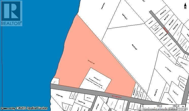 Photo of Listing #NB110295