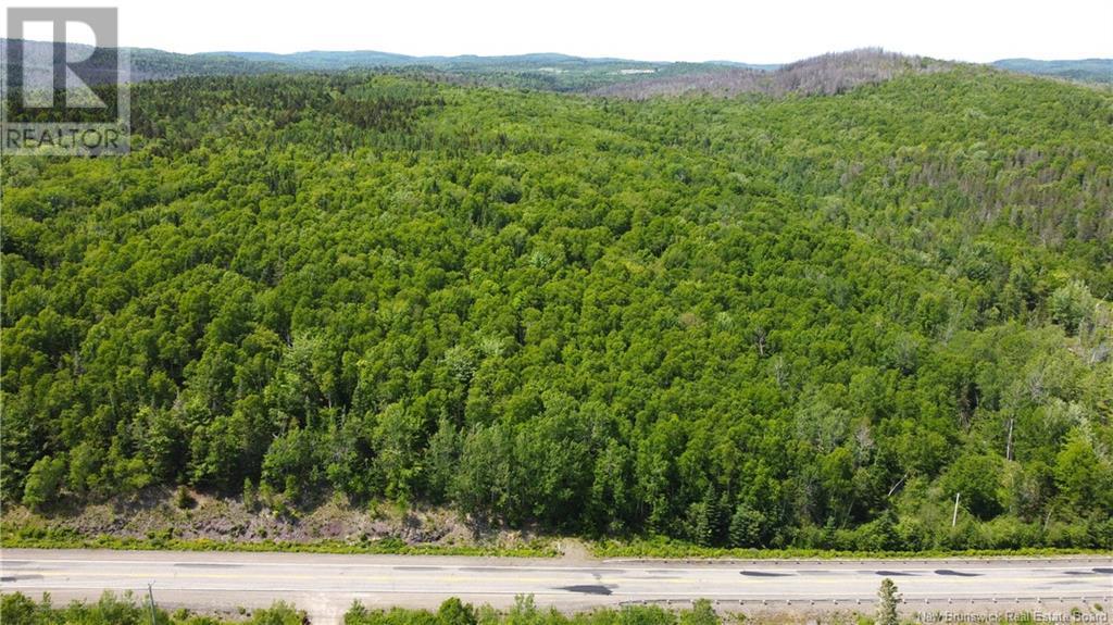 Photo of Listing #NB110542