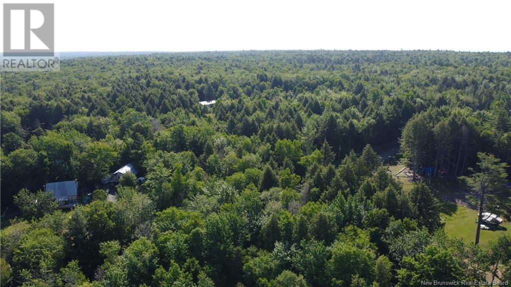 Photo of Listing #NB110821