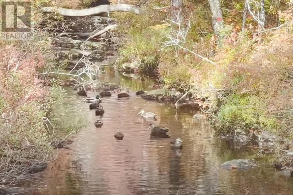 69 Meek Arm Trail, East Hants